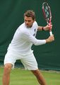 Stanislas Wawrinka Wimbledon 2013.jpg