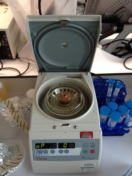 Soubor:Thermo centrifuge.JPG