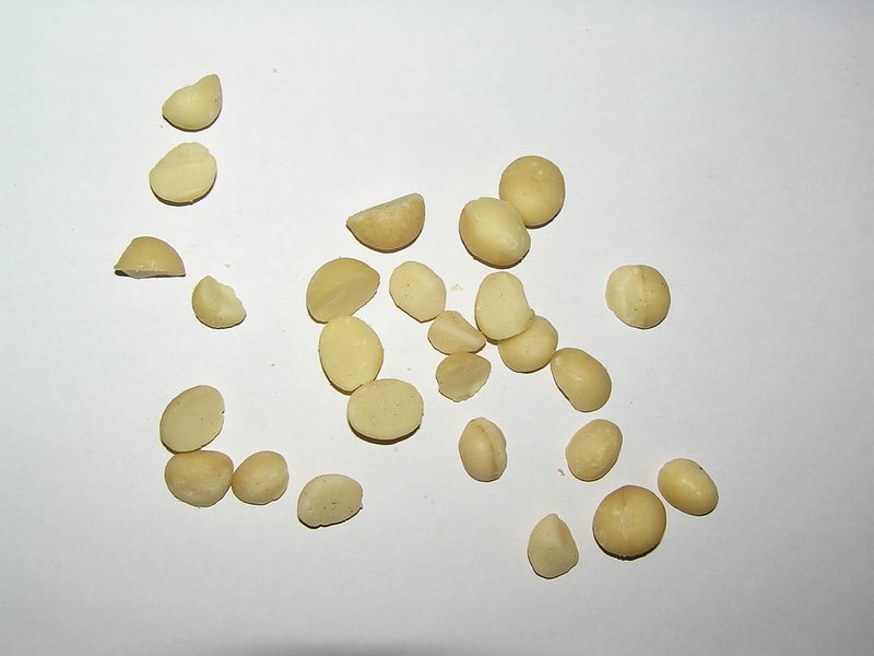 Soubor:Natural Macadamias Premium 03.jpg