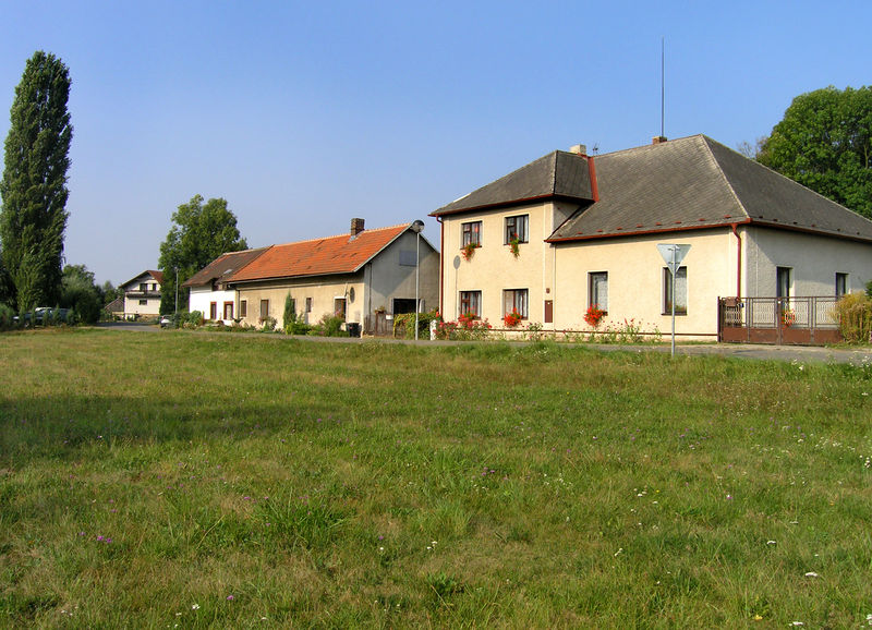 Soubor:Radíkovice, common.jpg