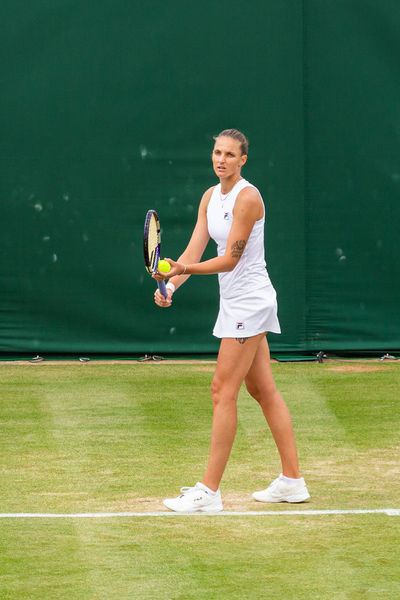 Soubor:Wimbledon 2021-018-ASFlickr.jpg