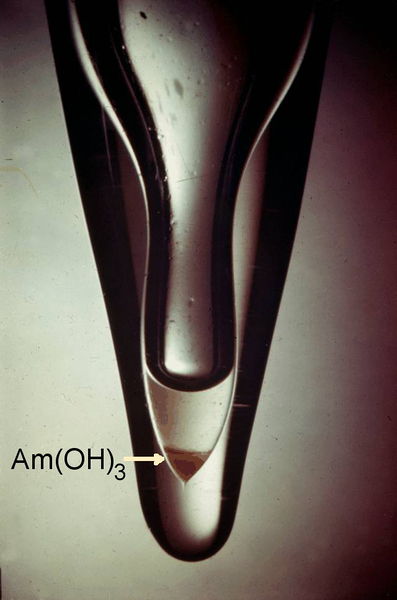 Soubor:Americium.jpg