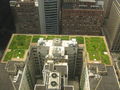 20080708 Chicago City Hall Green Roof.JPG