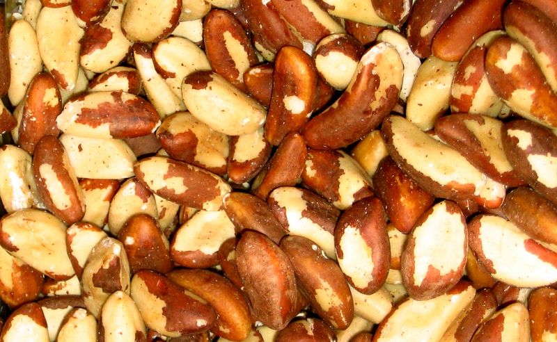 Soubor:Brazil nuts.jpg