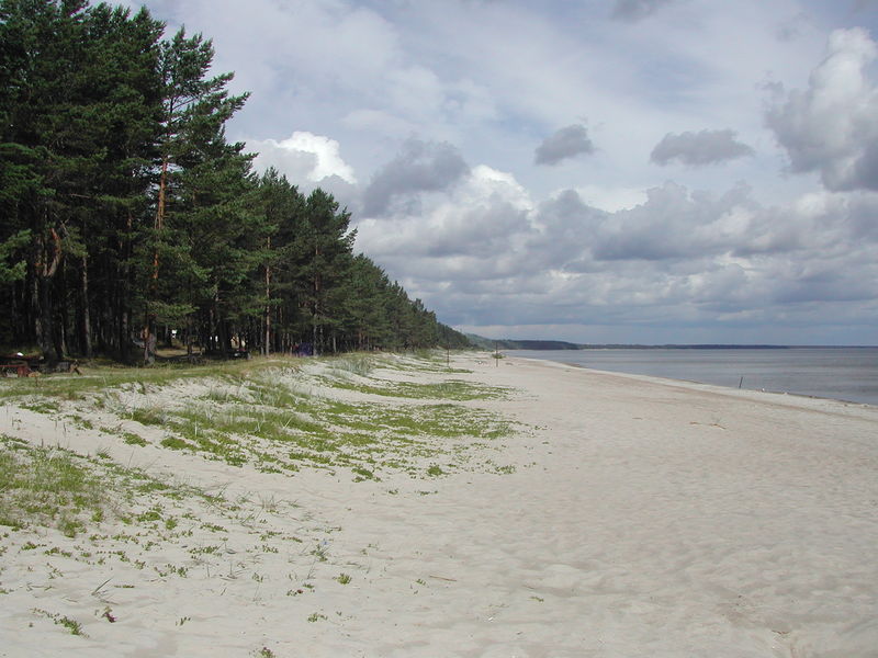 Soubor:Gulf of Riga-Beach.JPG