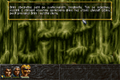 ALBION-DOSBox-042.png