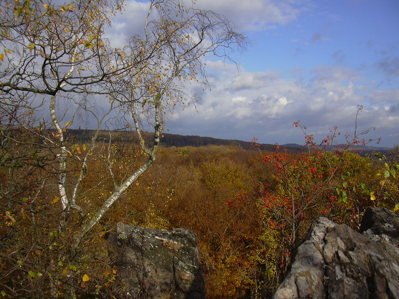 Soubor:Krivoklatsko buliznik02.jpg