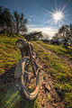 Bike and Sun-theodevil.jpg