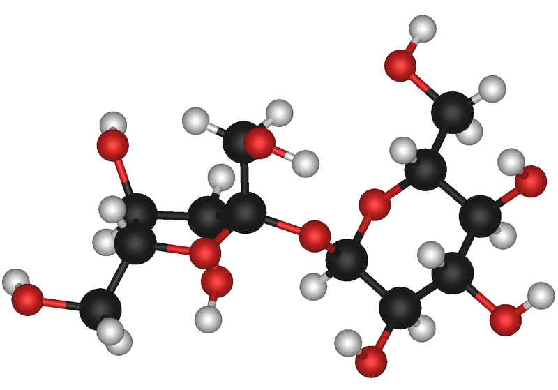 Soubor:Sucrose molecule 3d model.png