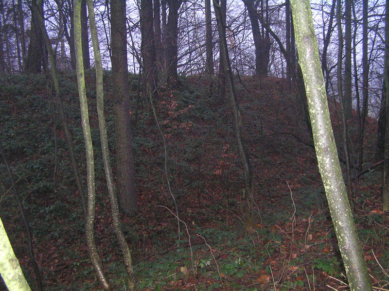 Soubor:Darebnický hrad1.JPG