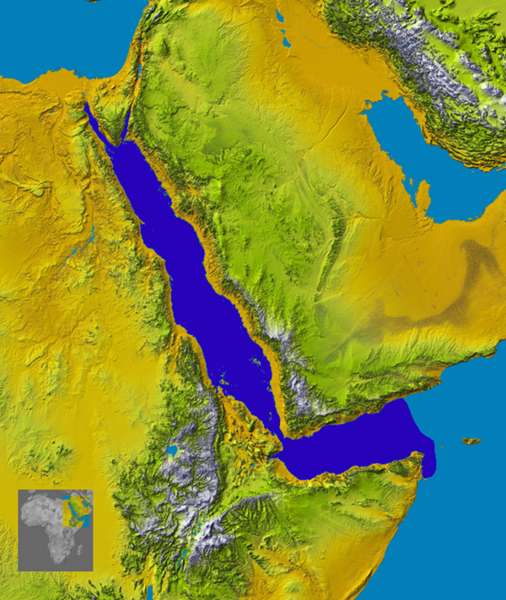 Soubor:Ichthyaetus leucophthalmus range.png