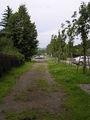 Horovice-2009-64.jpg