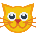 SmallandFlat-cat-icon.png