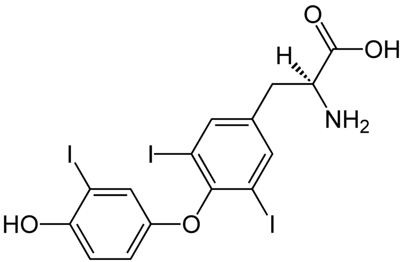 Soubor:(S)-Triiodthyronine Structural Formulae.png