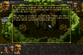 ALBION-DOSBox-079.png