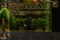 ALBION-DOSBox-027.png